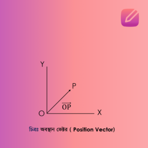 অবস্থান ভেক্টর (Position Vector)