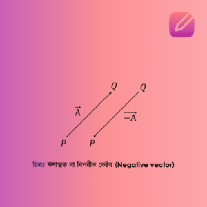 ঋণাত্মক বা বিপরীত ভেক্টর (Negative vector)