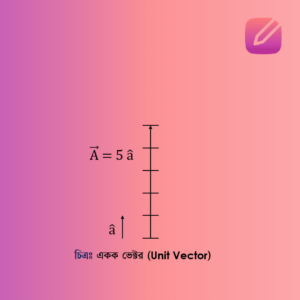 একক ভেক্টর (Unit Vector)