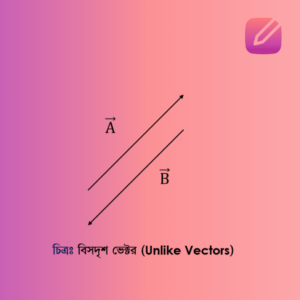 বিসদৃশ ভেক্টর (Unlike Vectors)
