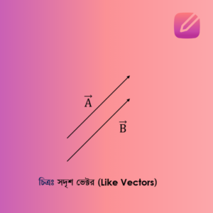 সদৃশ ভেক্টর (Like Vectors)