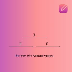 সমরেখ ভেক্টর (Collinear Vectors).png
