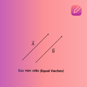 সমান ভেক্টর (Equal Vectors)