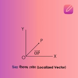 সীমাবদ্ধ ভেক্টর Localized Vector